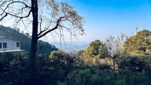 Beautiful views from Vaishno Devi trekking